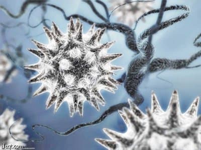 دراسة: الأورام يمكنها أن تعيد زرع نفسها