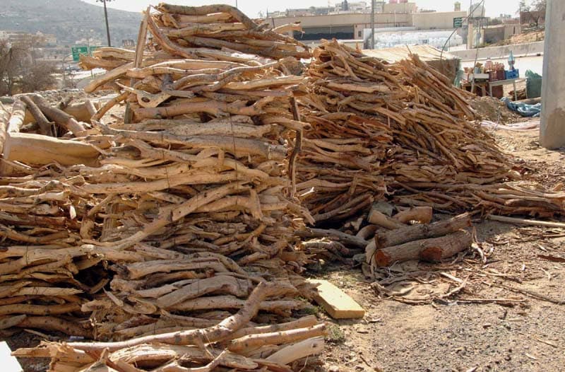 ارتفاع أسعار الحطب وإجراءات للحفاظ على تلك الموارد الطبيعية