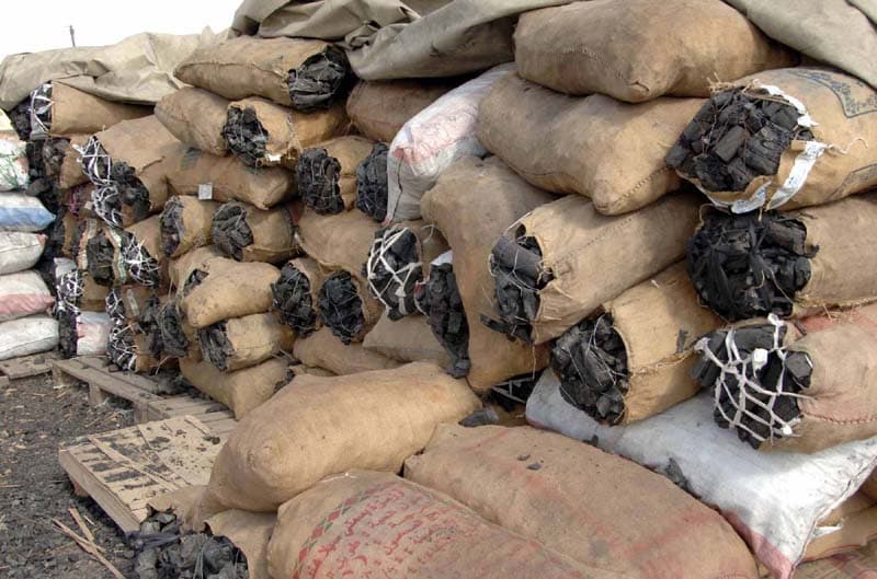 ارتفاع أسعار الحطب وإجراءات للحفاظ على تلك الموارد الطبيعية