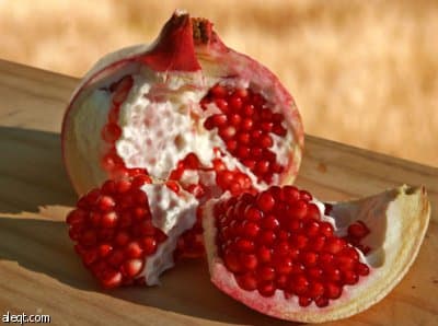 علماء بريطانيون.. الرمان مضاد حيوي فعّال للبكتيريا المستعصية