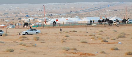 الغضا والطرفية.. تجمعات موسمية بلا مستثمرين