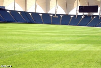 زراعة عدد من ملاعب كرة القدم وفق المواصفات الدولية المعتمدة من الفيفا