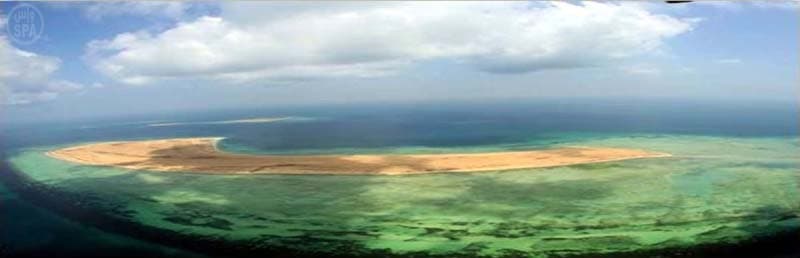 جزيرة أمنة في جازان جمال يجذب الأهالي وفرصة استثمارية متاحة أمام المستثمرين