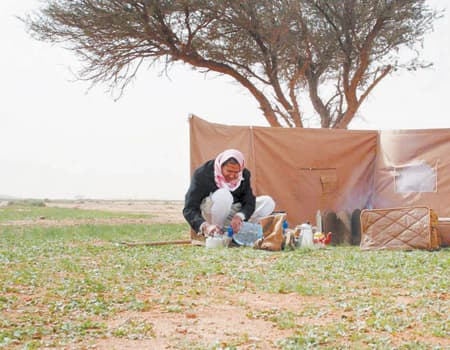 «جراب».. التاريخ والربيع يغريان محبي منابت الزرع والحلال