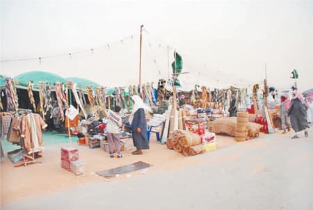 «أم رقيبة» ... طالت رقبتها بمزايين الإبل