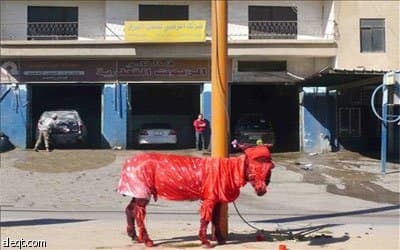 هم يختزلون الحب في يوم  فالنتين Valentine Day..ونحن لدينا الحب كل يوم