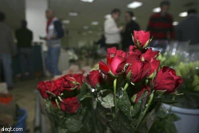 هم يختزلون الحب في يوم  فالنتين Valentine Day..ونحن لدينا الحب كل يوم