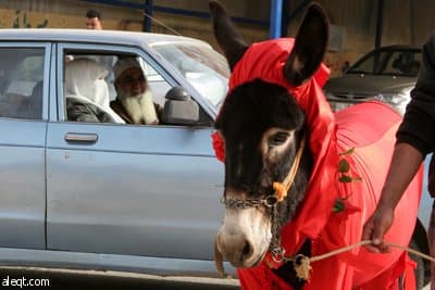 هم يختزلون الحب في يوم  فالنتين Valentine Day..ونحن لدينا الحب كل يوم