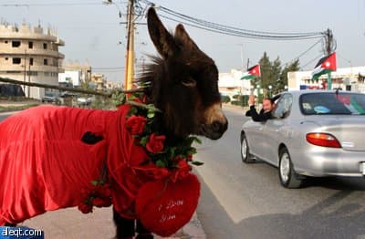 هم يختزلون الحب في يوم  فالنتين Valentine Day..ونحن لدينا الحب كل يوم