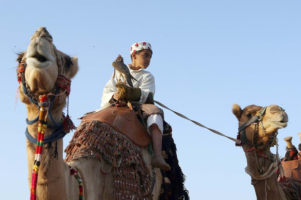 انطلاق فعاليات (يوم الغضا) ضمن مهرجان الغضا في عنيزة