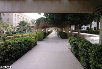 جامعة الملك عبد العزيز تعتمد اختبار القدرات للقبول في الدراسات العليا
