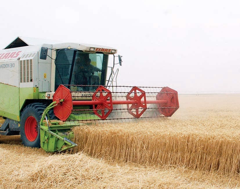 قصة أخرى لنجاح التجربة الزراعية سعودية .. «شرق العوينات»!