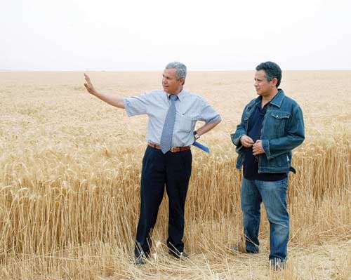 قصة أخرى لنجاح التجربة الزراعية سعودية .. «شرق العوينات»!