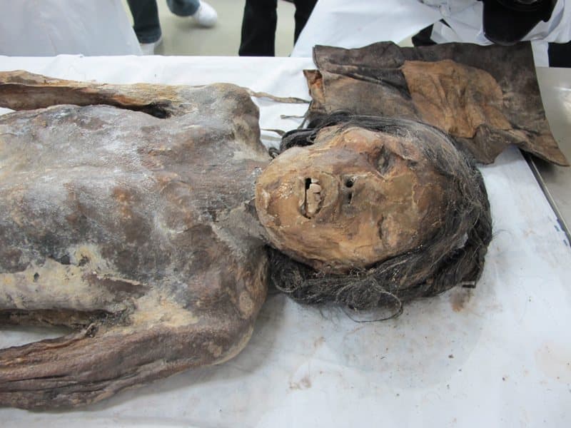 العثور على مومياء عمرها 500 سنة في كوريا الجنوبية