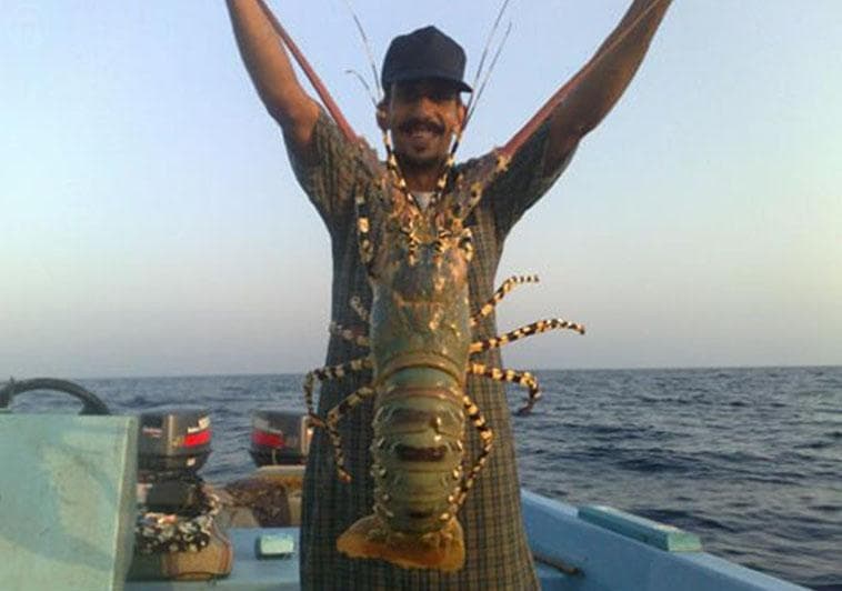 440 صياد يحملون رخصة صيد جراد البحر "الاستاكوزا" في الوجه