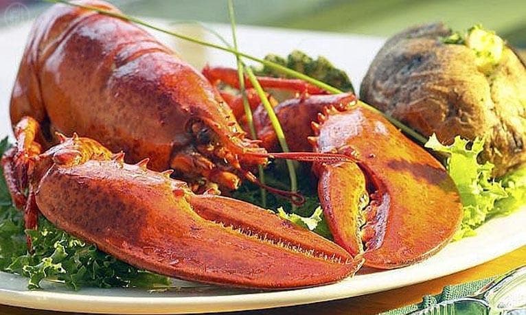 440 صياد يحملون رخصة صيد جراد البحر "الاستاكوزا" في الوجه