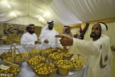 أبوظبي تدخل جينس بأكبر تمرة في العالم