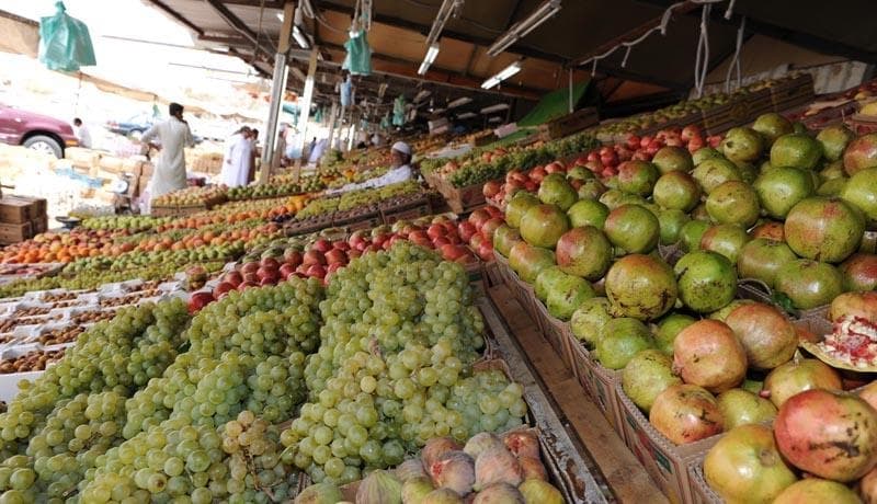 سائحو الطائف يشهدون جني العنب والرمان والتين وعدد من الفواكة الموسمية