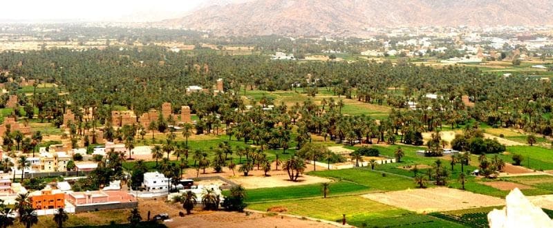 600 ألف زائر استمتعوا بالمواقع السياحية والفعاليات المتنوعة خلال صيف نجران
