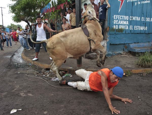 ثور يدهس رجل يعد أن فر من صاحبة في نيكاراغوا