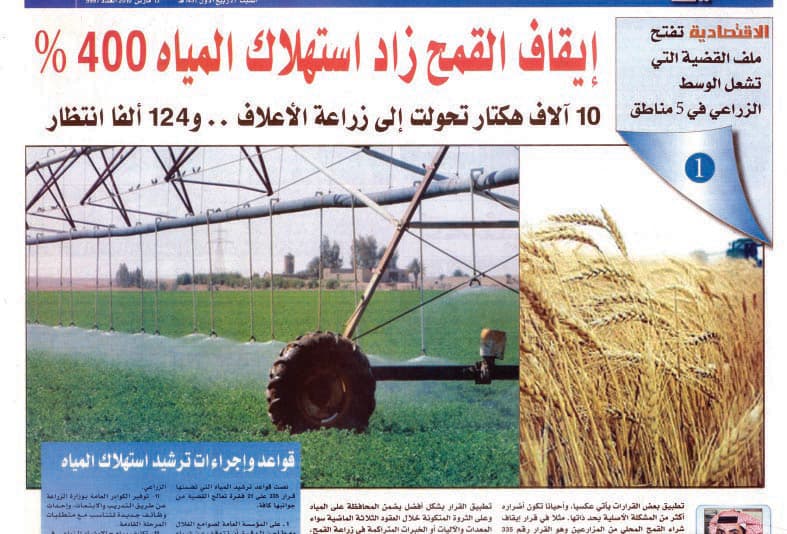 وزارة الاقتصاد: تقليص زراعة القمح لم يخفض استهلاك المياه بسبب الاتجاه للأعلاف