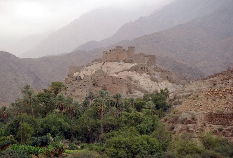 قرية ذي عين في الباحة تستقبل أعداداً كبيرة من الزوار والمصطافين في أول إطلالة للقرية