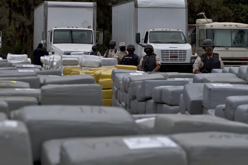 المكسيك تضبط أكبر كمية من المخدرات في تاريخها .. 105 طن من  الماريجوانا