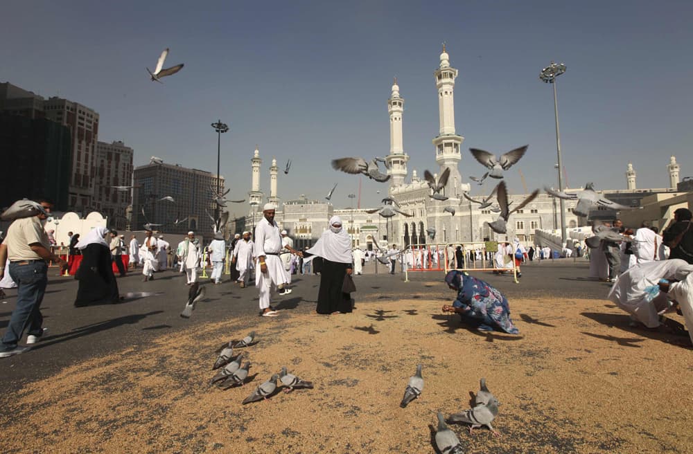 الركن الخامس.. مشاعر في صور (الحلقة الثانية)