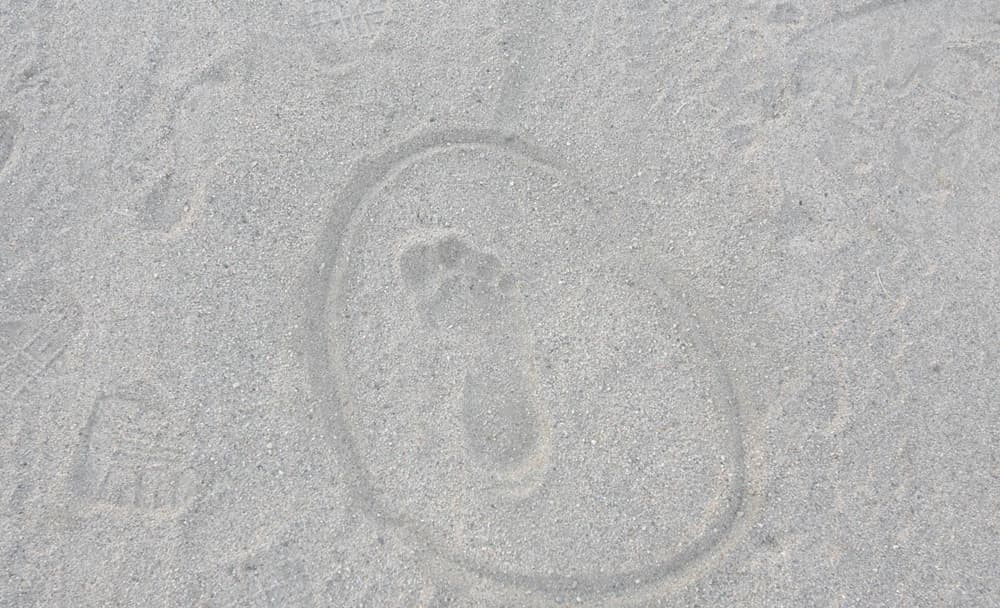 قصاص الأثر.. البحث عن الحقيقة بين الرمال