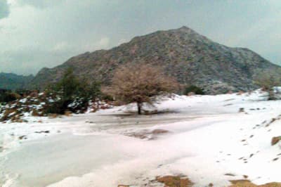 الثلوج تغطي جبال الشفا