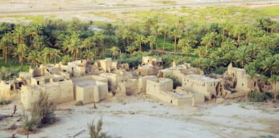 5 ملايين نخلة في القصيم تدعم الاستثمار في النزل الريفية