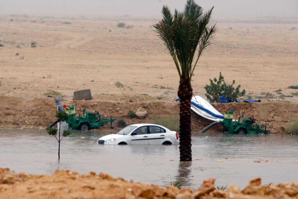 أمطار الرياض في صور