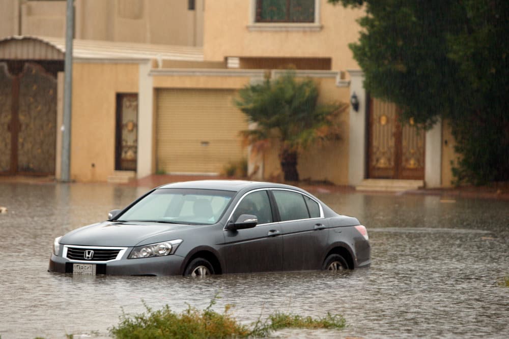 أمطار الرياض في صور