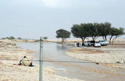 الرياض: الكشاتة يستبشرون بأول الغيث.. جريان شِعْبان صلبوخ وملهم ودقلة