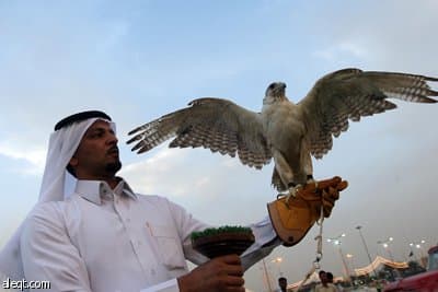 أحد هواة القنص يحمل صقرا في سوق الصقور في الرياض