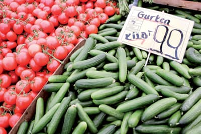 مسؤولون: لغز بكتيريا إي- كولاي لم يجد حلا بعد