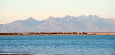 شواطئ قيال وراس الشيخ غابت عنهما عين السياحة فحصد الوافدون أرباح السياح