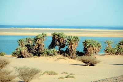 شواطئ قيال وراس الشيخ غابت عنهما عين السياحة فحصد الوافدون أرباح السياح