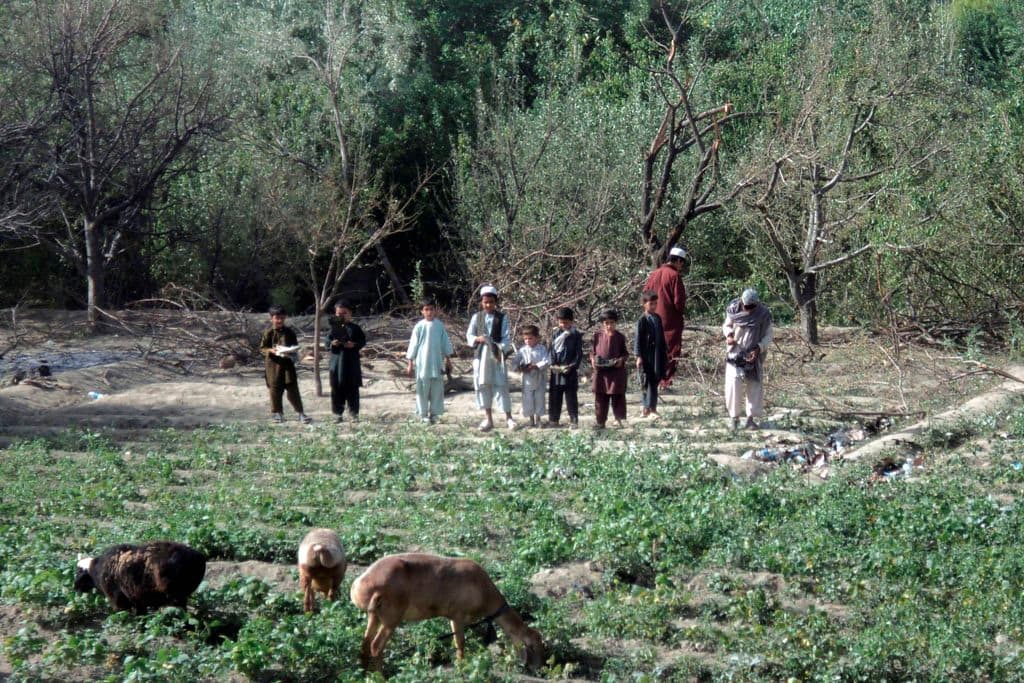17 من قتلى المروحية الأمريكية في أفغانستان من قوات النخبة التي قتلت ابن لادن