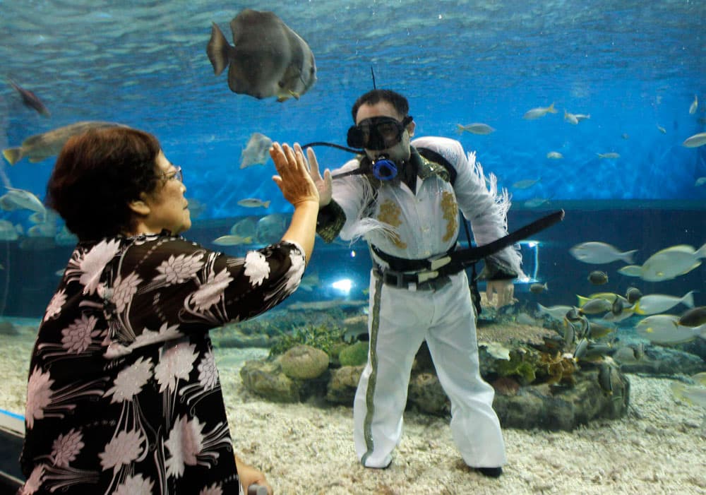 غطاس محترف داخل حوض ماء الأسماك إمام مشاهدة من الجماهير