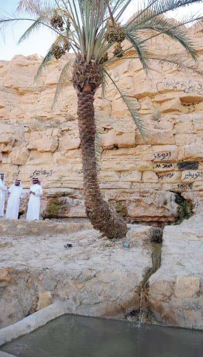 إعادة تأهيل نبع «القويطير» تحت إشراف متطوع سعودي