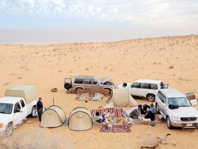 دراسة: الرحلات البرية تعيد الحيوية والنشاط للموظفين