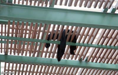 خالد الفيصل يعزي أسرتي المعلمتين ريم النهاري وغدير كتوعة..ونورة الفايز تزور المصابات