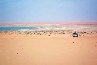 فك حمى الدهناء  والعقوبة في انتظار المحتطبين