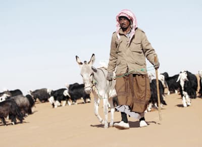 استطلاع للاقتصادية : الرعاة يعيشون القسوة والمخاطر في النفود