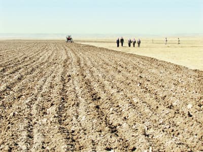 السعوديون يعيدون إحياء زراعة «البعول»