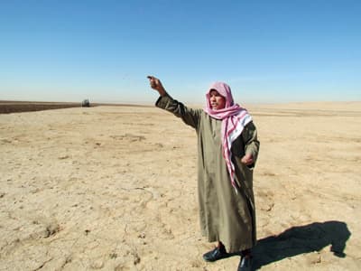 السعوديون يعيدون إحياء زراعة «البعول»