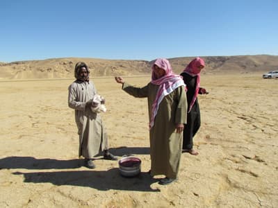 السعوديون يعيدون إحياء زراعة «البعول»