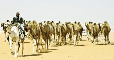 ناس وناس