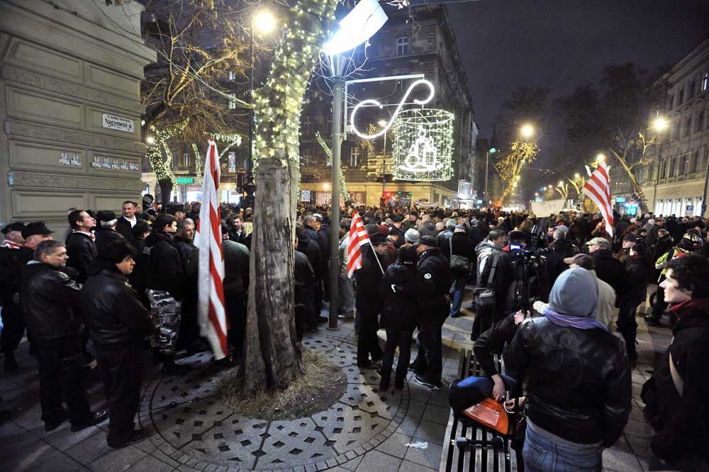 عشرات الالاف في المجر يحتجون على الحكومة والدستور الجديد (فيديو)